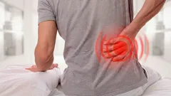 Oefening waardoor je rug weer op zijn plek voelt — zonder apparaten en zonder pijn